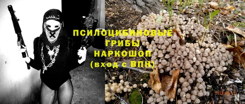 мега ТОР  магазин    Новоалександровск  Галлюциногенные грибы MAGIC MUSHROOMS 